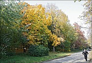 VorGor_01_IMG_4034.jpg