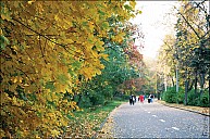 VorGor_27_IMG_4543.jpg