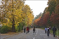 VorGor_28_IMG_4636.jpg