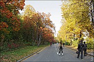 VorGor_29_IMG_4622.jpg
