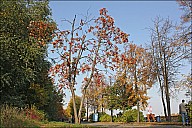 VorGor_31_IMG_4598.jpg