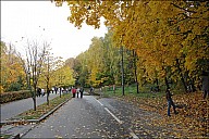 VorGor_33_IMG_4713.jpg