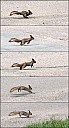 100km_134_IMG_6248-52.jpg
