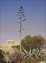 01Athens_47_IMG_1396-98.jpg