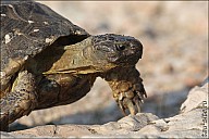 01Athens_47b_IMG_1281.jpg