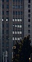 RinM-4937-IMG_5495.jpg