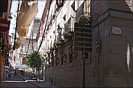 IMG_7749.jpg