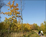 2011-10_08Fall_15_IMG_6728.jpg