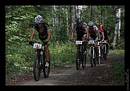 IMG_4553.jpg