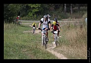 IMG_4833.jpg