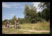 IMG_5264.jpg