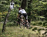 IMG_4530.jpg