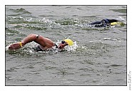 IMG_6506.jpg