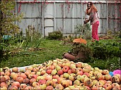 2012-09-30_DachaClose_21_IMG_9806.jpg