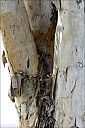 16-nest-02--5071.jpg