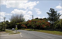 01-Kuranda-1290.jpg