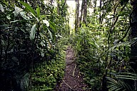 08-Kuranda-1517.jpg