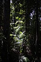 14-Kuranda-2802.jpg