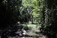 15-Kuranda-2788.jpg