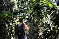 19-Kuranda-2823.jpg