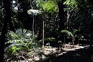 21-Kuranda-2831.jpg