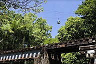 46-Kuranda-2853.jpg