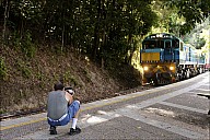 80-Kuranda-2990-abc.jpg: 950x634, 371k (2013-01-02, 18:41) 80-Kuranda-2990-abc.jpg: 950x634, 371k (2013-01-02, 18:41)