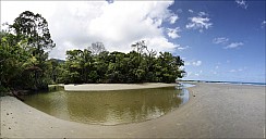 012-Mangrove-2122-49a-abc.jpg