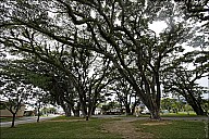 04-Mossman-MG_2288.jpg