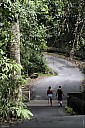 40-RainForest-_MG_4200.jpg