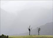29-Roads-3439.jpg