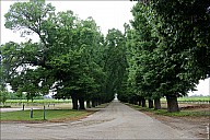 06-VinaryRoad-1881.jpg