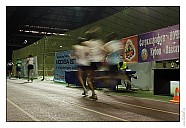 347-7D-_MG_1840.jpg