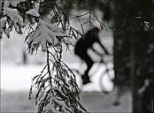 2013-12-07_BiMsel_70__MG_7970-abc.jpg: 1280x942, 427k (2013-12-20, 01:05)