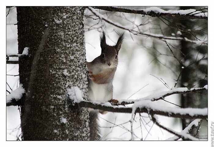 2013-12-07_BiM_206__MG_6994-abc.jpg: 850x583, 85k (2013-12-09, 00:46)