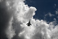 Max0-41_MG_9954.jpg