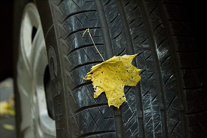 054-20161023_DEKRA_7D_102_MG_3773-abc.jpg: 1280x854, 481k (2016-11-04, 11:59)