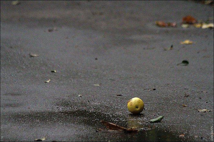 2017-09-Uzkow-57_MG_8082-abc.jpg: 1600x1068, 784k (2017-10-22, 22:08) 2017-09-Uzkow-57_MG_8082-abc.jpg: 1600x1068, 784k (2017-10-22, 22:08)