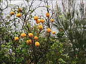 20180328-02-Run-Siedra-22-P3280118.jpg