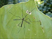 2018-08-25-Dacha-01-8250120.jpg