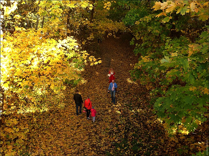 2018-09-13-Sukhanovo-13-130303-abc.jpg: 1599x1200, 1468k (2018-10-14, 20:13)