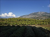 2020-12-31-Turkey-WhereRun-10-310949.jpg