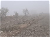 2023-05-Uz-07-Fog-08_05-06_5060699.jpg