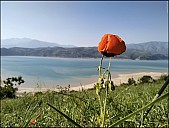 2023-05-Uz-05-Chimgan-16_05-04_20230504161751.jpg