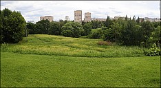 2024-06-23-FandB-16-.jpg