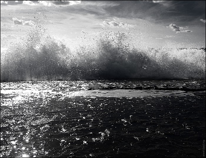 2024-12-22-Denis-05-226999-abc.jpg: 1561x1200, 779k (2025-03-08, 10:30)