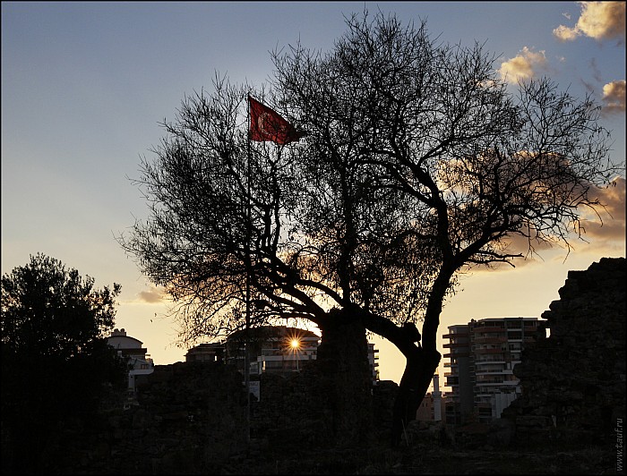 2024-12-xx-Turkey-Naula-27-4763-abc.jpg: 1578x1200, 725k (2025-02-23, 10:41)