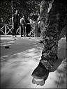 2025-06-06_PGP-10_42.jpg