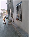 2025-07-20_IT_Izmir_03-20250720185118.jpg