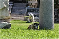2025-07-20_IT_Izmir_32-39.jpg